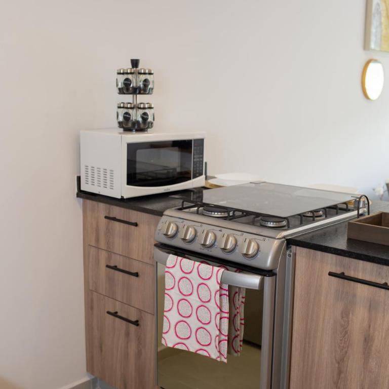Villadhara Centro GDL - Apartamento de 1 dormitorio - 11