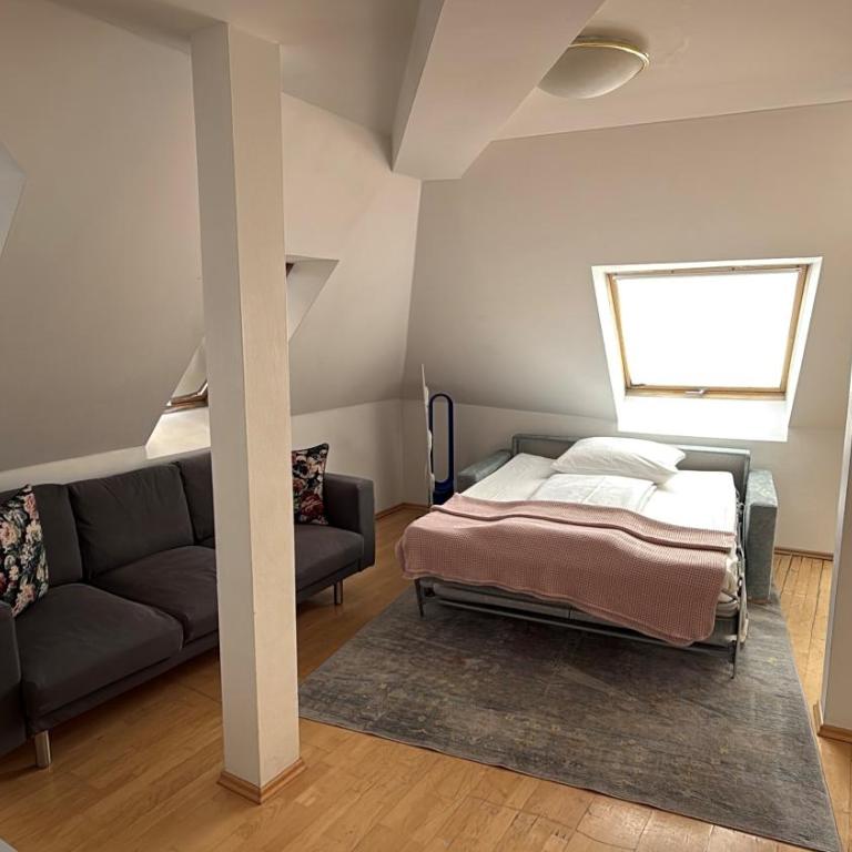 Hotel Der Tannenbaum - Studio-Apartment - 5