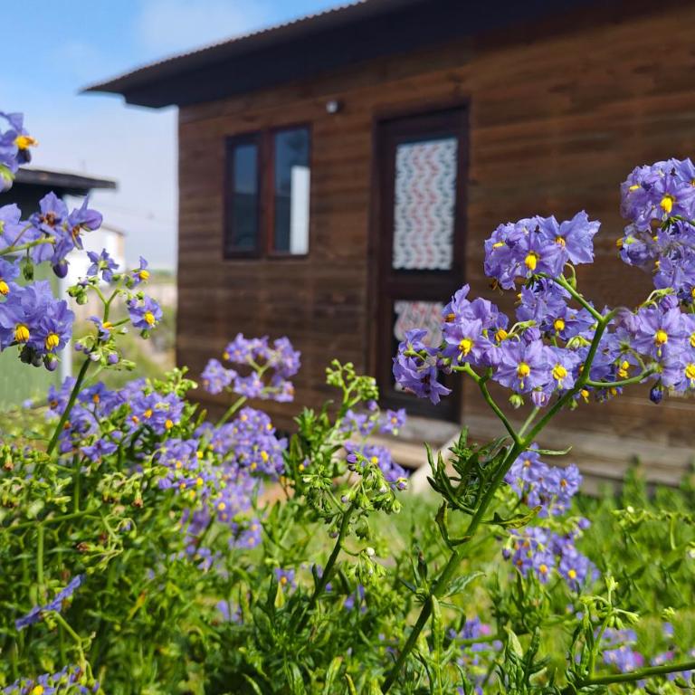 Ocho Aguilas Eco Lodge - Two-Bedroom House - 28