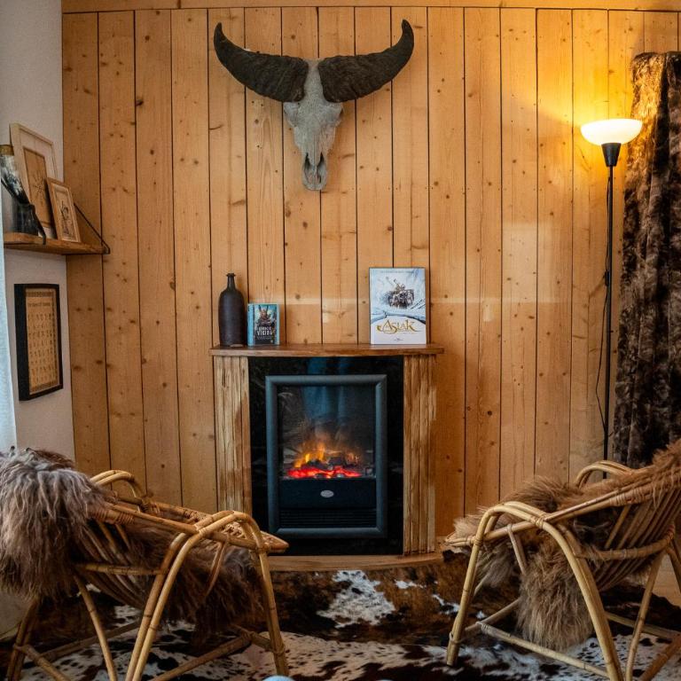 Studio Insolite Viking - Appartement 1 Chambre - 16