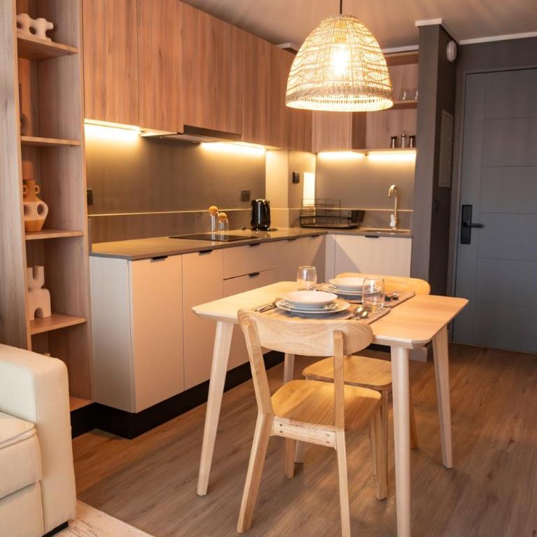 Modern and Cozy Apartment in Santiago - One-Bedroom Apartment with Balcony - 6