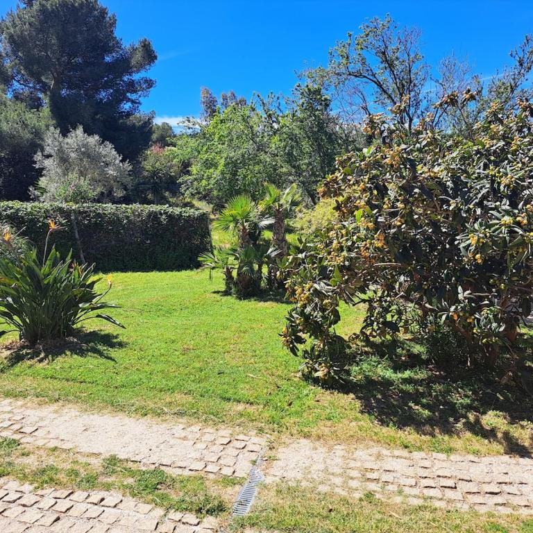 Rez de jardin villa independant Presqu'ile de Giens - Apartment - 31