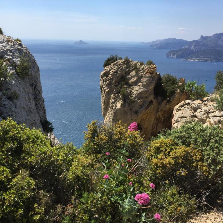 Résidences des Peyrons vue mer et les Iles d'Or - Maison 1 Chambre - 6