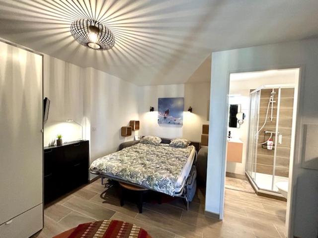 Résidences des Peyrons vue mer et les Iles d'Or - Maison 1 Chambre - 18