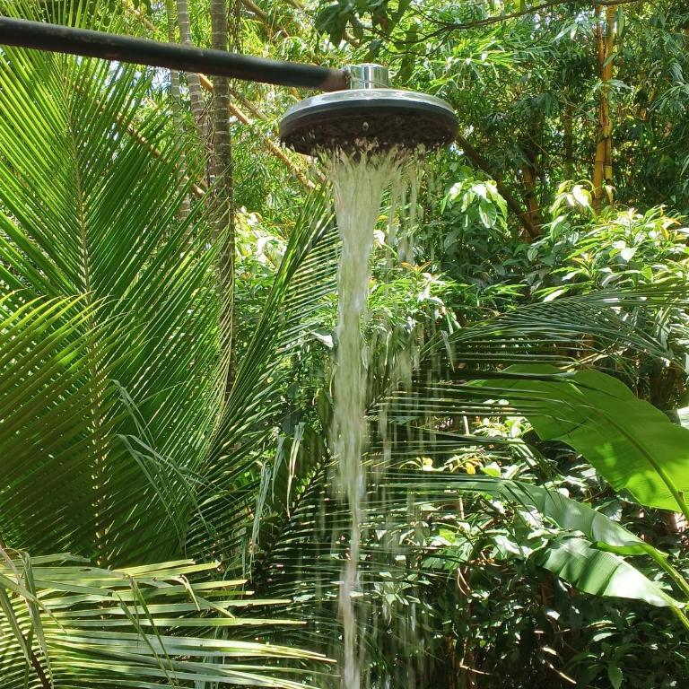 Bosque de Ángeles - Two-Bedroom House - 13