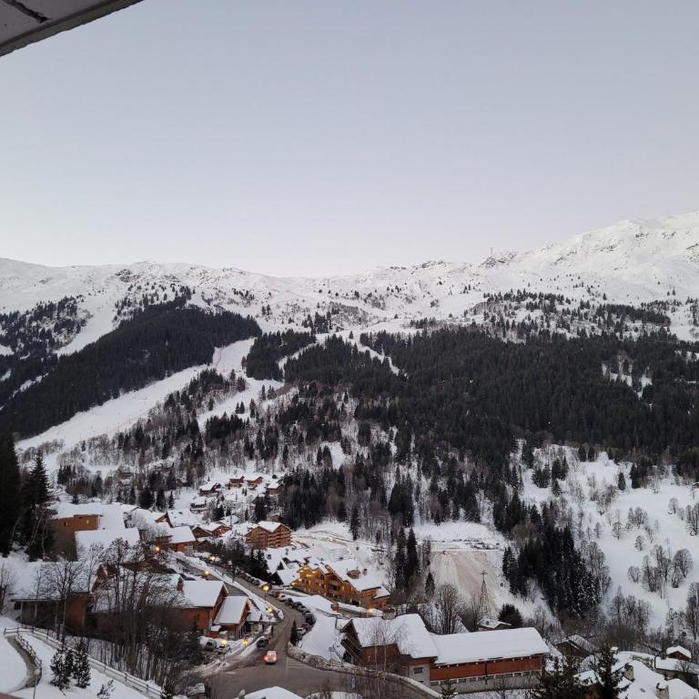 Appartement Ski-in/Ski-out avec Parking privé et Wi-Fi à Méribel - Appartement 2 Chambres - 15