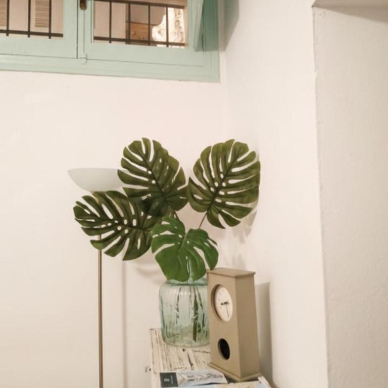 Apartamento Las Canastas Cádiz Centro a pie de Catedral y playa - Apartamento de 1 dormitorio - 15