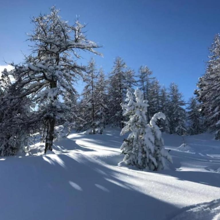 Superbe appartement rénové aux pieds des pistes - Appartamento con 3 Camere da Letto - 15