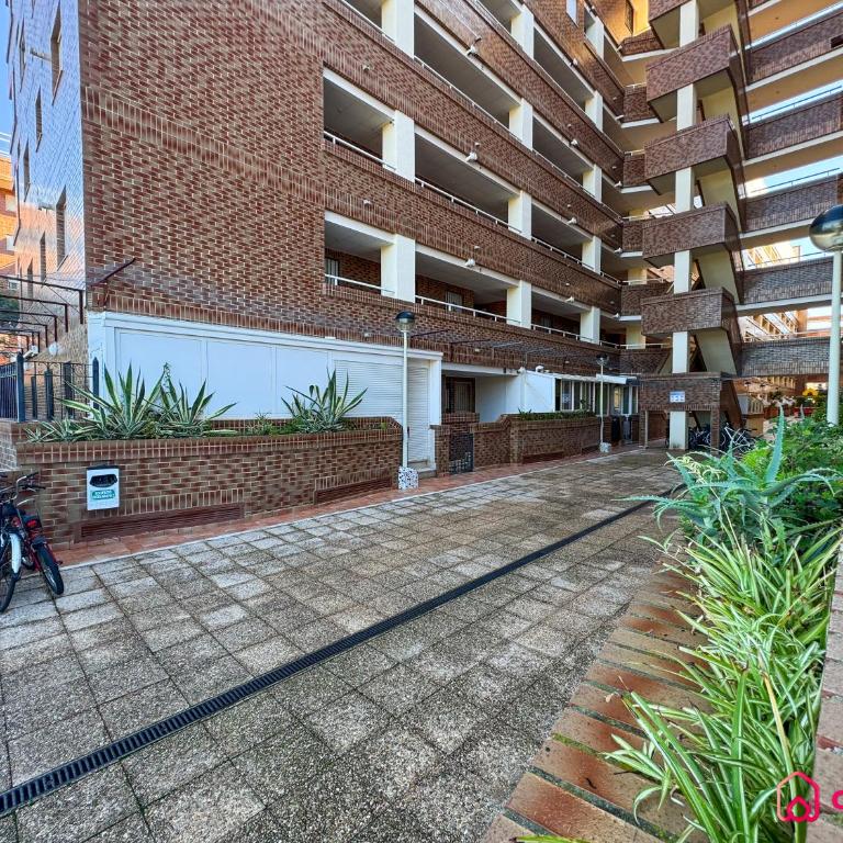 El Bajo - Apartamento de 3 dormitorios - 39