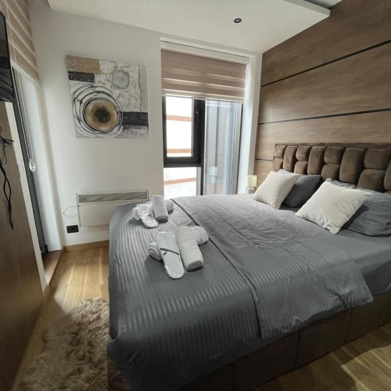 Silver Fox 34 - One-Bedroom Apartment - 10