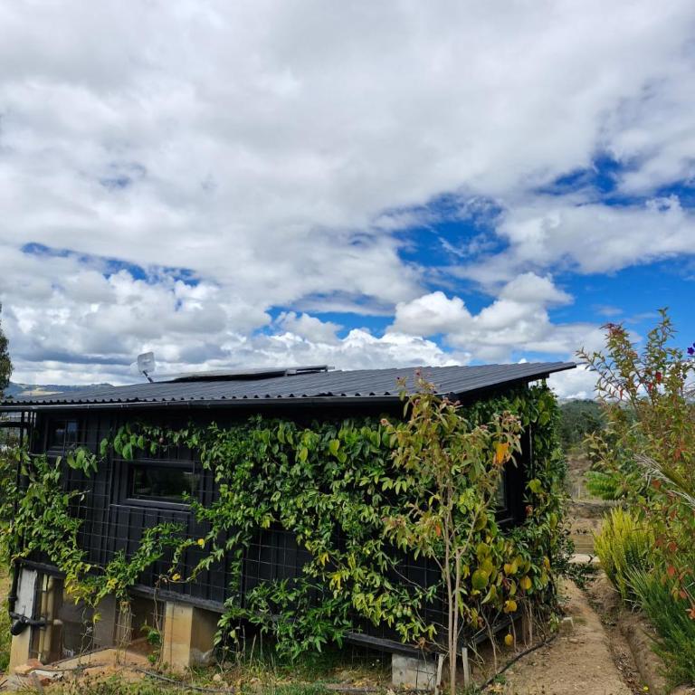 Vive Rela Tiny Houses - Chalet - 32