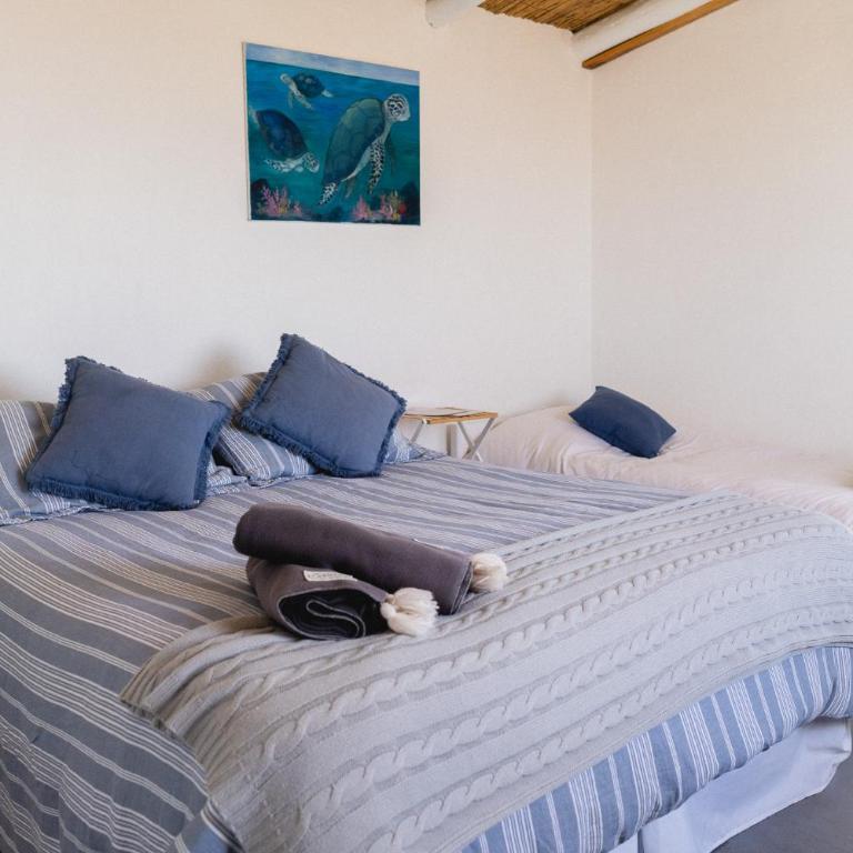 Carmela Suites Cabo Polonio - Suite Junior Deluxe - 5