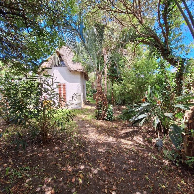 La rambla - Four-Bedroom House - 5
