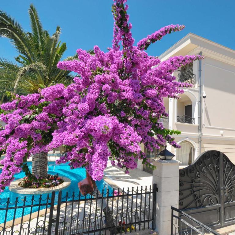 Villa St.George - Villa with Private Pool - 1
