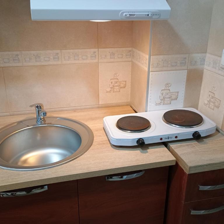 APARTMANSKI SMEŠTAJ SOLARIS kod Aqua Parka Studio Apartmani - Dupleks Studio - 11