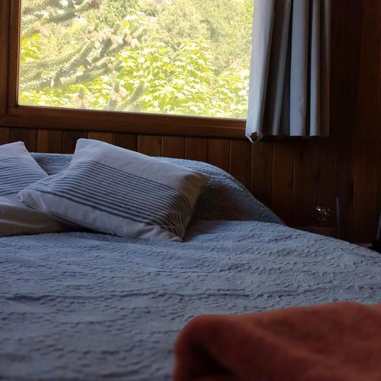 Studio Alto - Apartamento de 1 dormitorio - 1