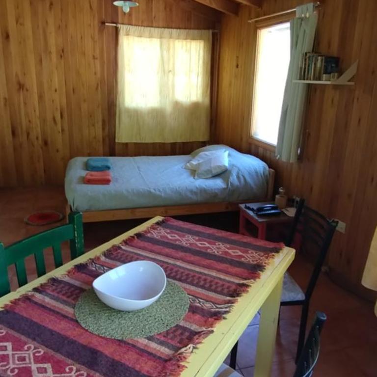 Studio Alto - Apartamento de 1 dormitorio - 5