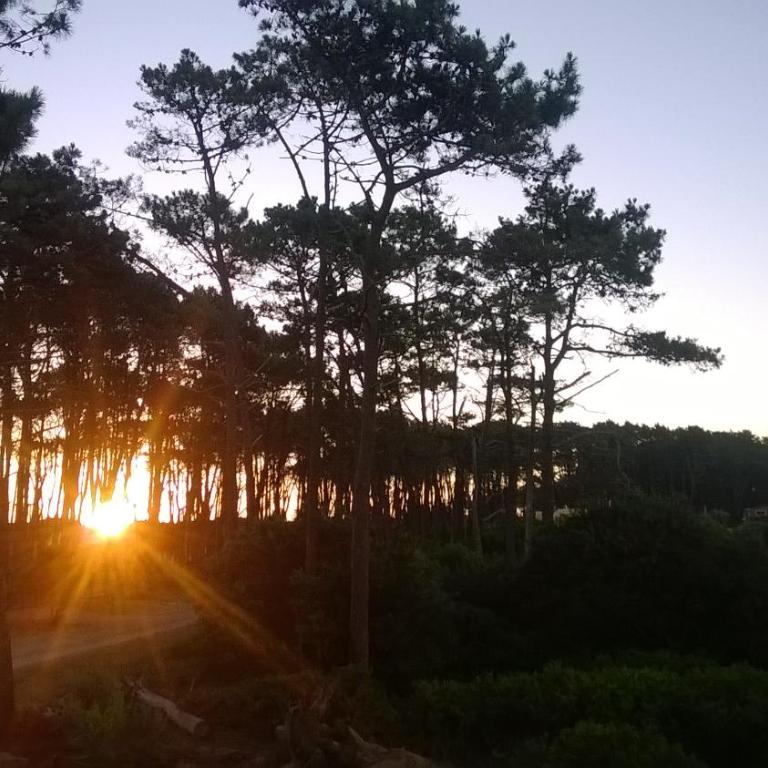 Ocean Park Punta del Este House - Casa Vacacional de 3 dormitorios - 33