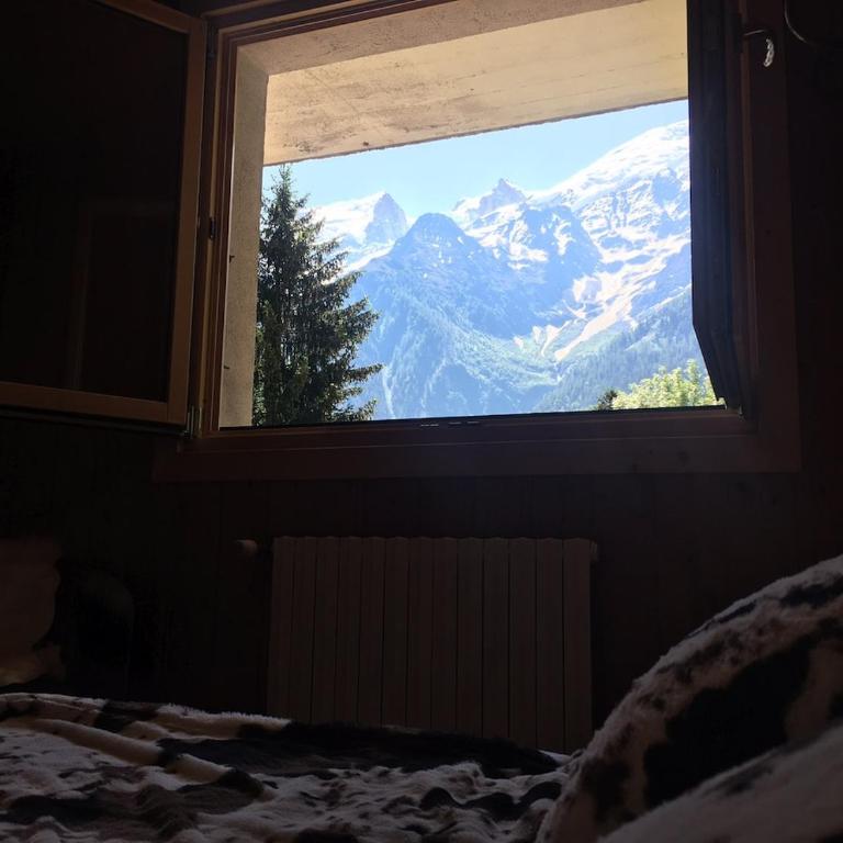 Petite Floria - Appartement 1 Chambre - 8
