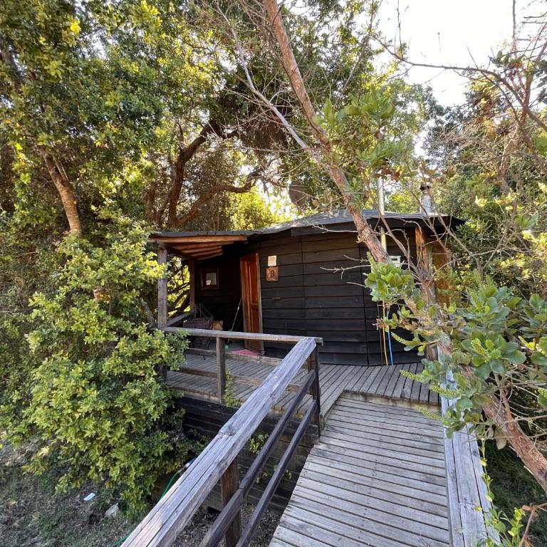 Reserva los Bollenes - Estudio con 1 cama grande - 9