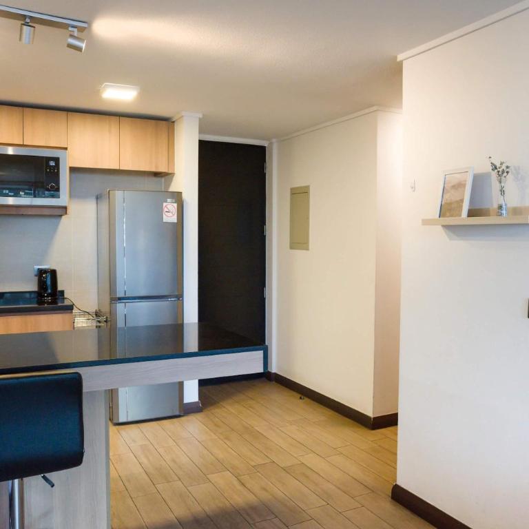 Premium Stay in Las Condes - Apartment - 23