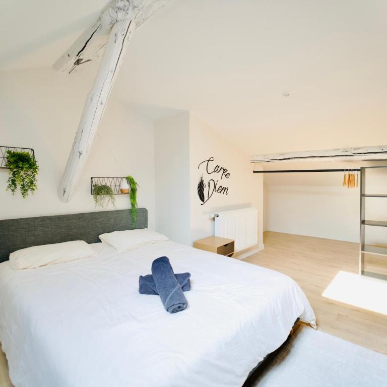 Moderne au cœur de ville - Appartamento Premium con 3 Camere da Letto - 37