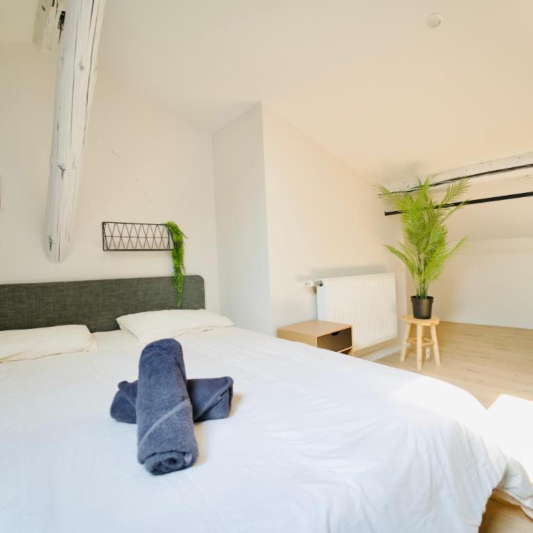 Moderne au cœur de ville - Appartamento Premium con 3 Camere da Letto - 25