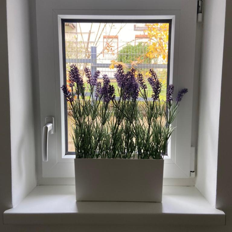 Villa Zaubertal Linz - Viel Raum - 86m2 für Familie, Natur & Arbeit nahe der Stadt - Apartment - Erdgeschoss - 22