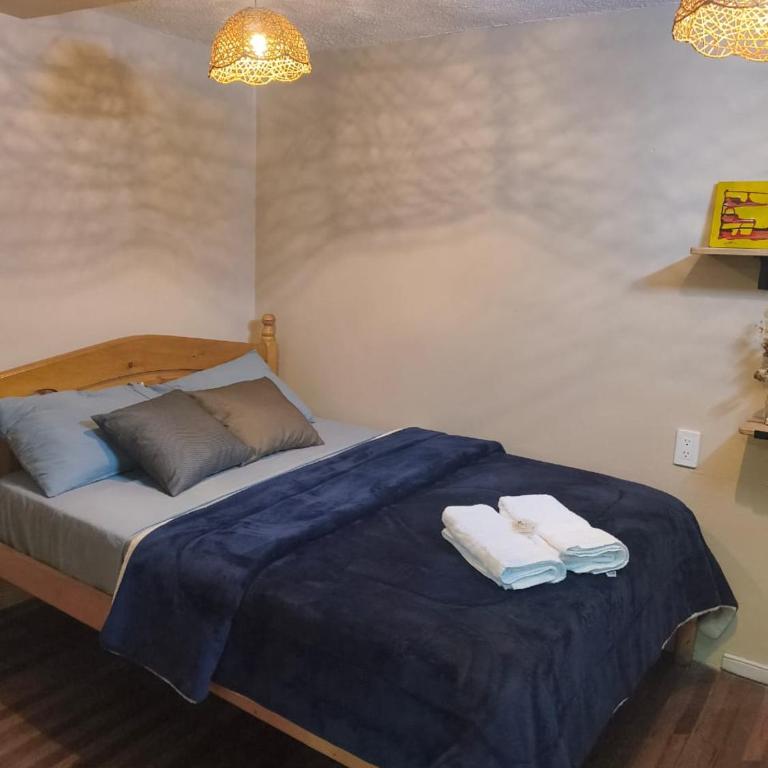 Posada Los Olivos - Standard Double Room - 2