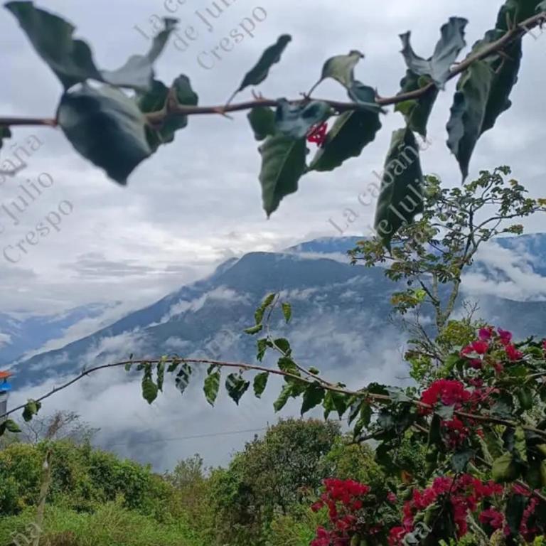 Cabañas Julio Crespo - Coroico - Vacation Home - 8