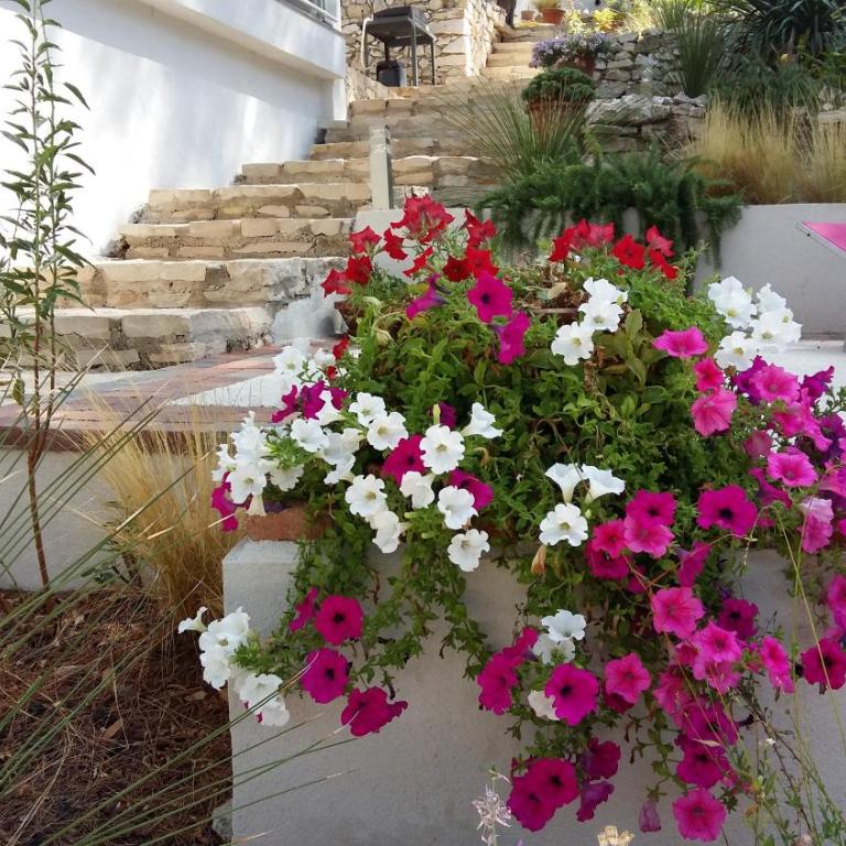 Villa Bobnell - Appartement avec Terrasse - 18