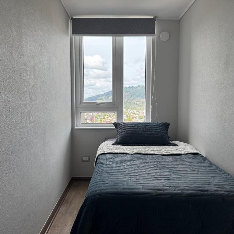 Apartamento Nuevo Centro Temuco - Edificio Vanguardia - Two-Bedroom Apartment - 6