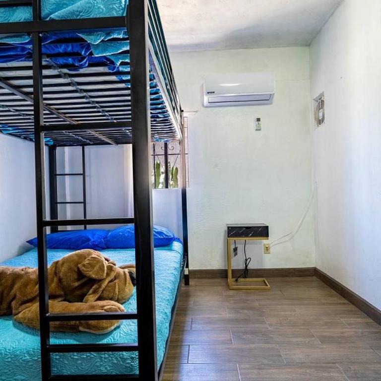 Huge Family 5 bedroom sleeps 16 with private pool home - Casa - 17