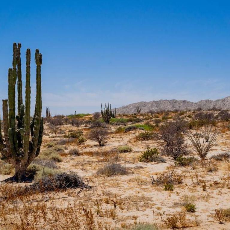 Vacation home in Mision Los Sahuaros community, San Felipe Baja - Casa - 30