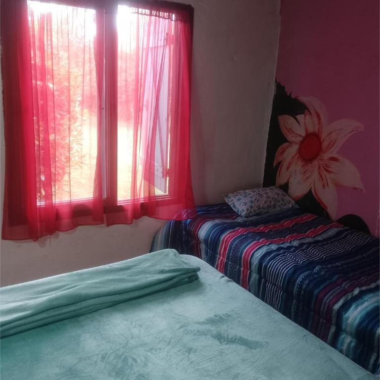 Casa Los colibrí - Two-Bedroom House - 26