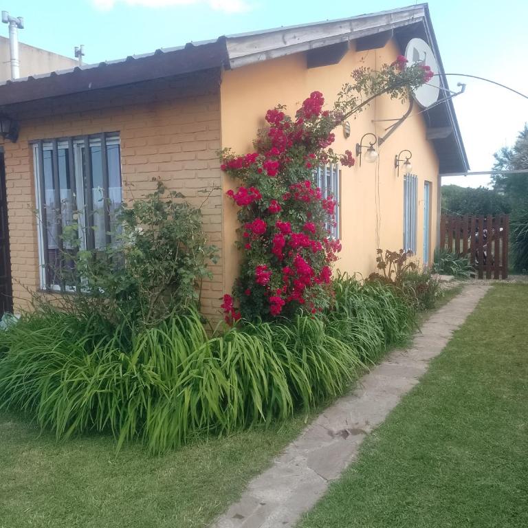 Casa Los colibrí - Two-Bedroom House - 1