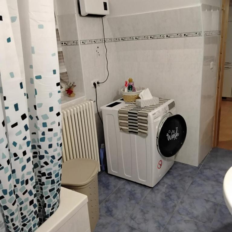 Alpine's Apartment - Appartamento con 1 Camera da Letto - 10