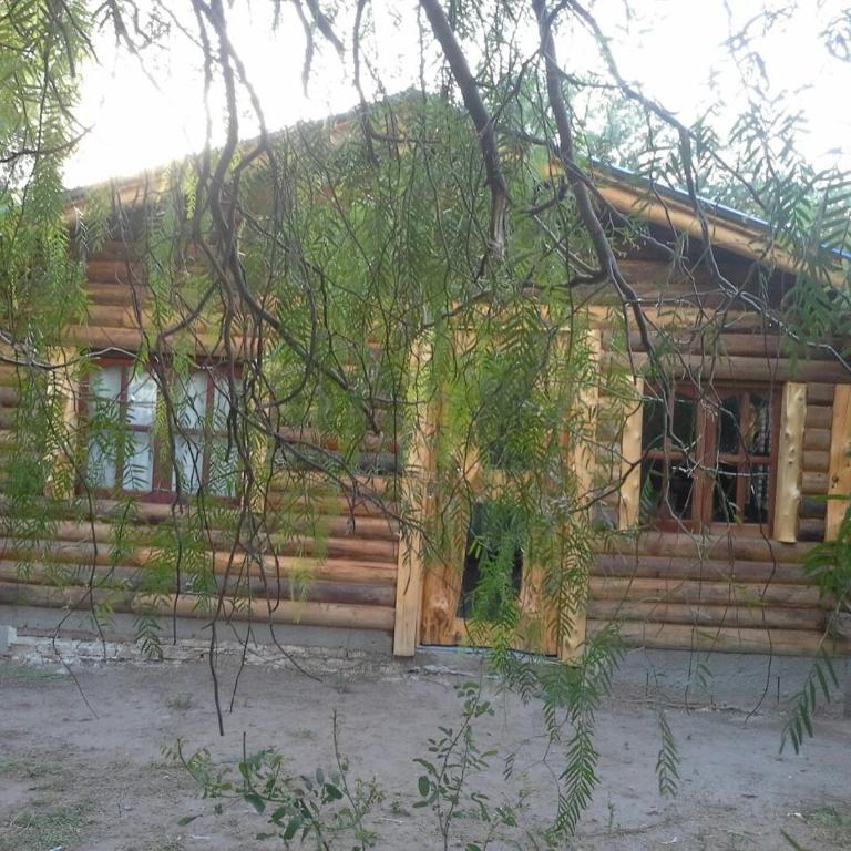 Cabañas rainbow - Family Bungalow - 24