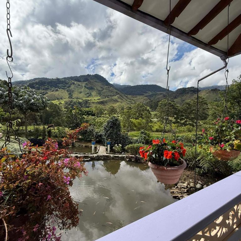 Hotel Lago Valdivia - Habitación Doble Superior - 5