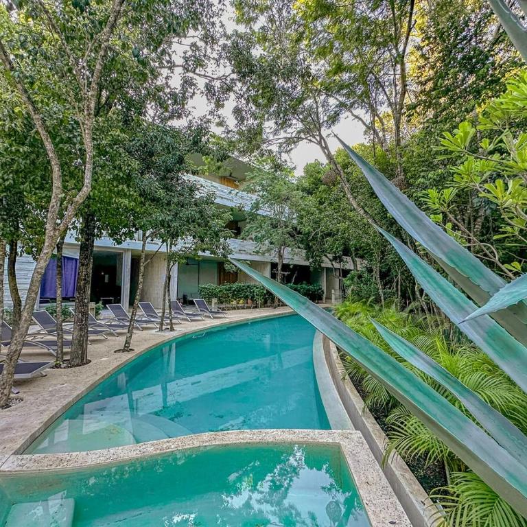 Dream House! Sweet, calm PH, private pool, cenote - Apartamento de 3 dormitorios - 11