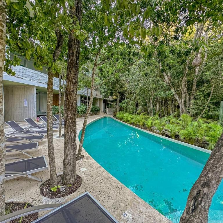 Dream House! Sweet, calm PH, private pool, cenote - Apartamento de 3 dormitorios - 17