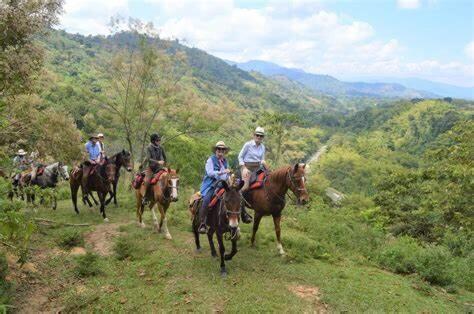 FINCA TUTASUA Lake View Luxury House - Villa - 65