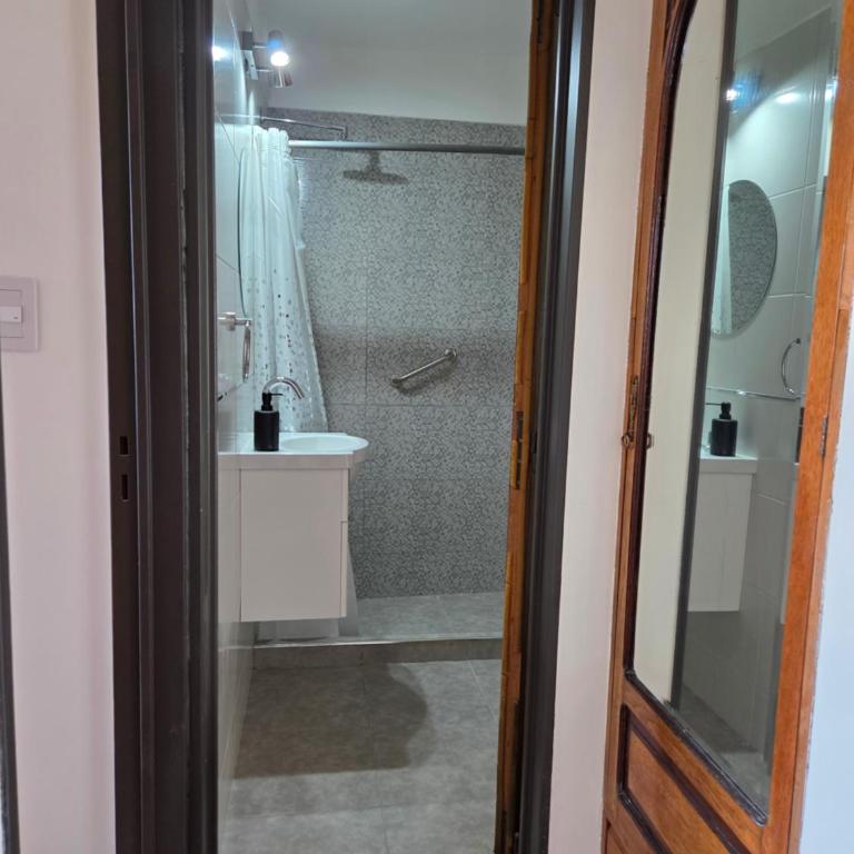 Luminoso Depto de 2 Amb Zona Guemes - One-Bedroom Apartment - 7