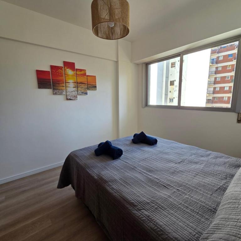 Luminoso Depto de 2 Amb Zona Guemes - One-Bedroom Apartment - 33