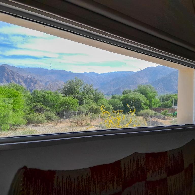 Malvón - Casa de 2 dormitorios - 37