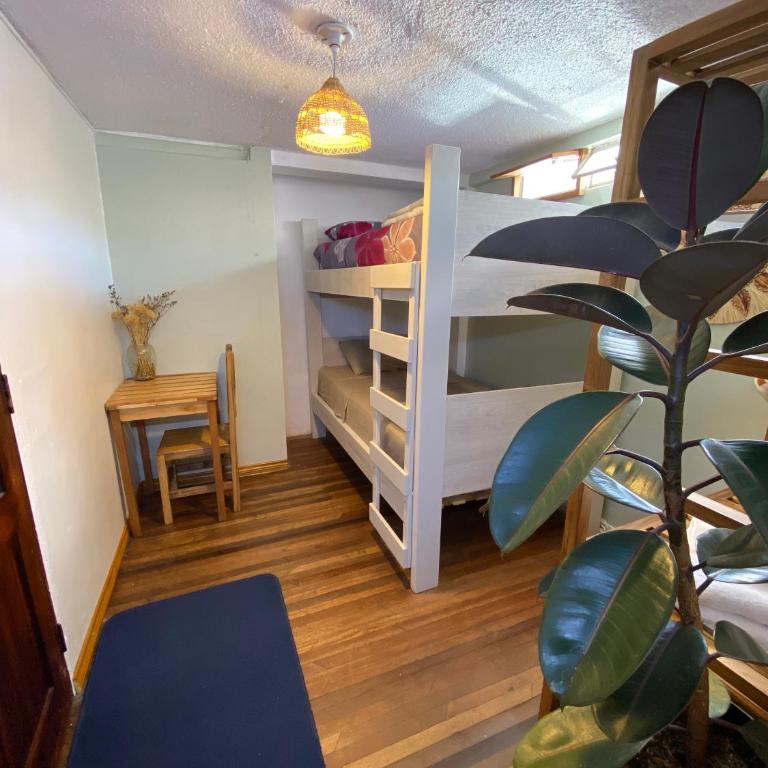 Posada Los Olivos - Quadruple Room - 2