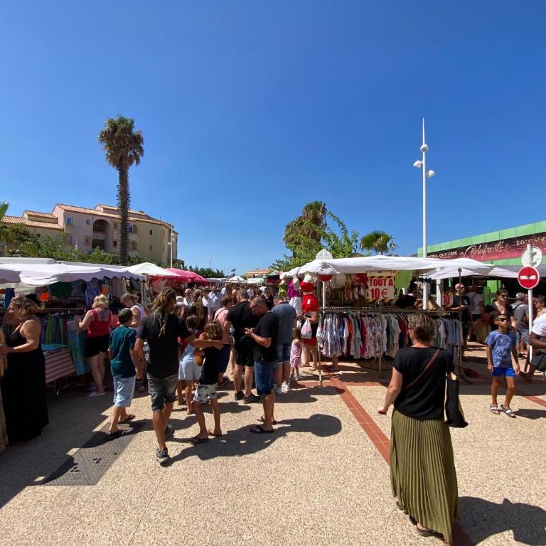 Maison climatisée 8P, près de la plage et du port, animaux admis - FR-1-798-59 - Maison de Vacances - 27