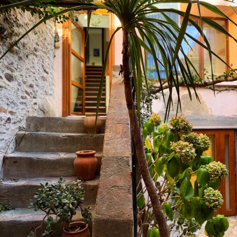 Maison charme Collioure centre - Maison 3 Chambres - 22