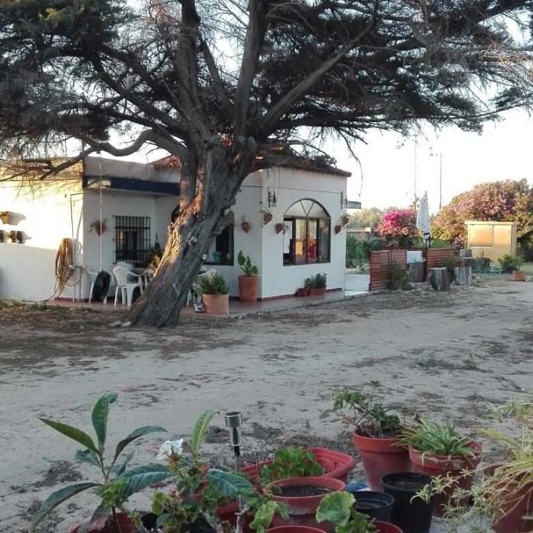 En Finca Las Dunas dos Chalets con jacuzzis en primera linea de playa , uno de 4 dormitorios y otro de 2 dormitorios, Llama al Seiscientos veintisiete Cuatrocientos diecisiete Trescientos noventa y ocho - Chalet - 37