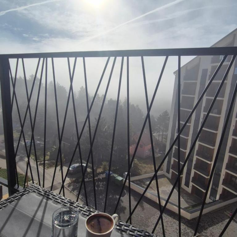 Srebrna pahulja - One-Bedroom Apartment - 31
